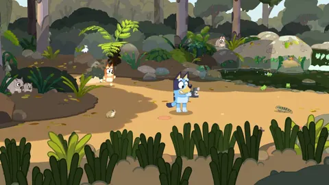 Precio de Bluey's Happy Snaps: ediciones y guía de compra